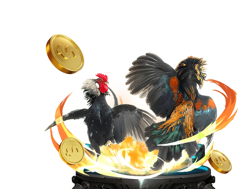 Lý do chọn DV88 chơi đá gà