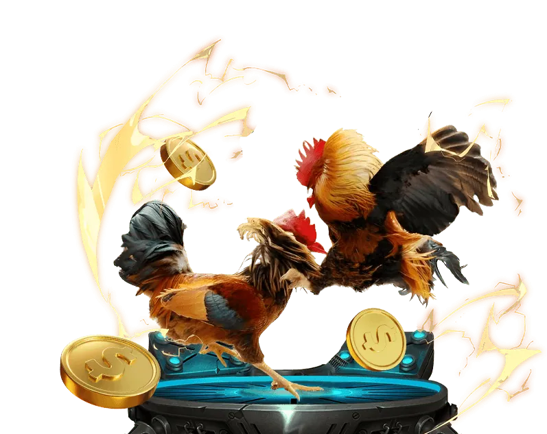 Các loại hình đá gà phổ biến tại DV88